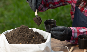 Fertilizers